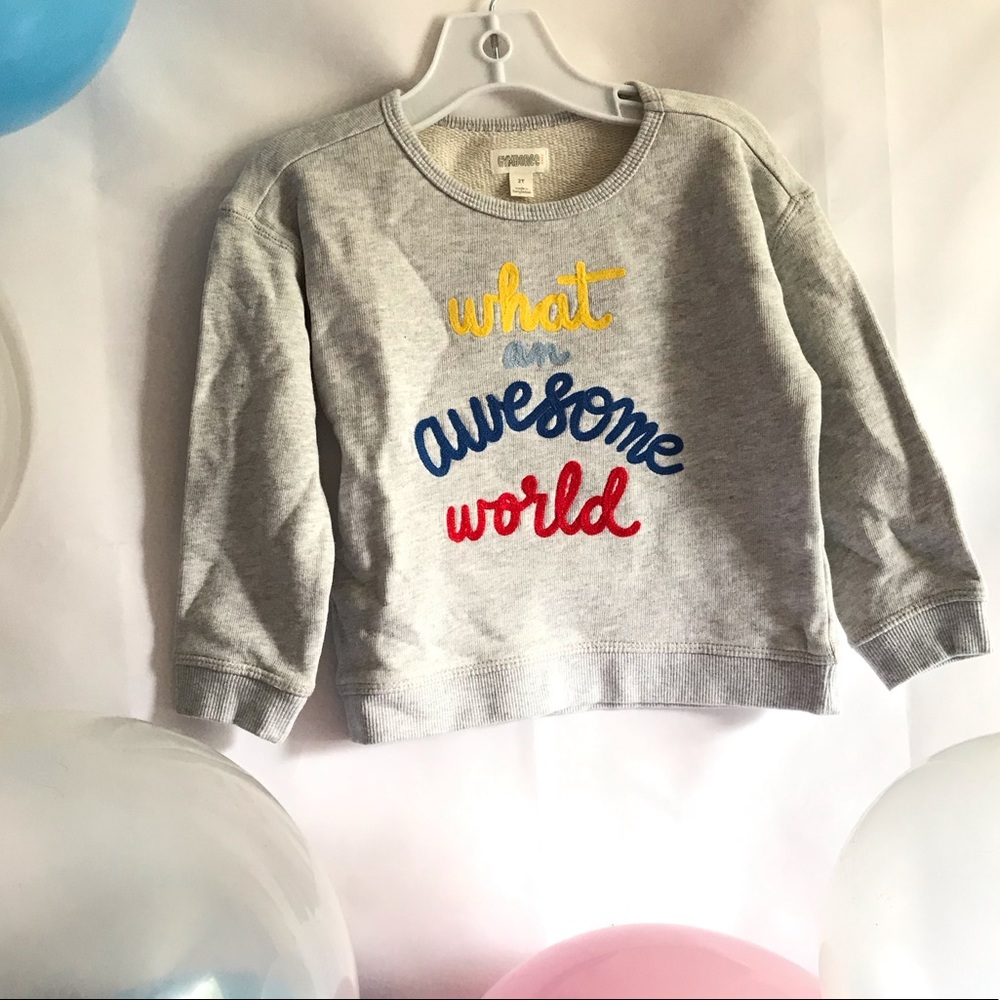 GYMBOREE “What an Awesome World” Sweater